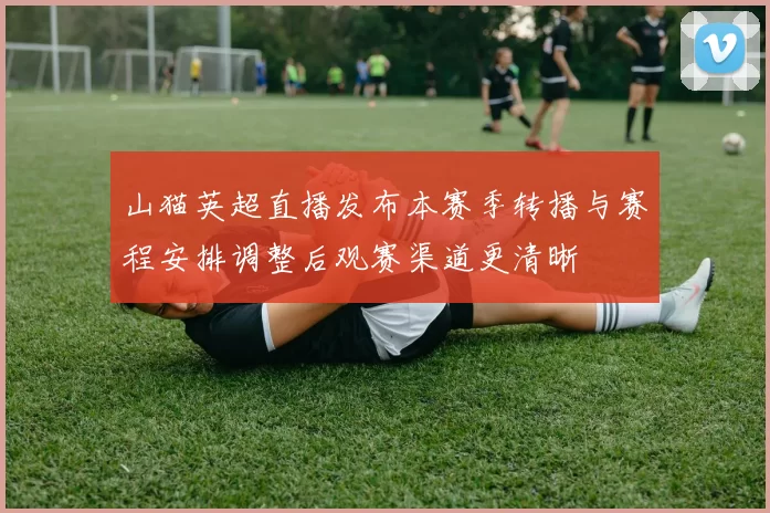 山猫英超直播发布本赛季转播与赛程安排调整后观赛渠道更清晰