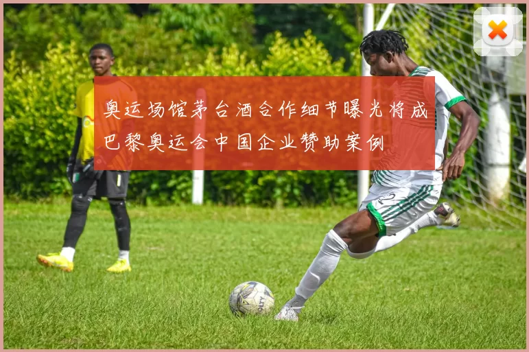 奥运场馆茅台酒合作细节曝光将成巴黎奥运会中国企业赞助案例