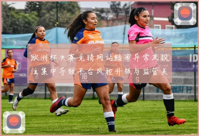 欧洲杯决赛竞猜网站赔率异常及投注集中导致平台风控升级与监管关注