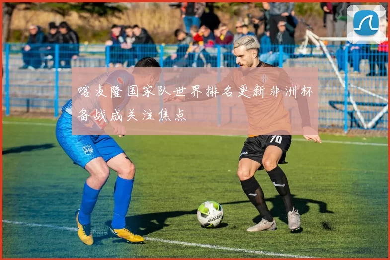 喀麦隆国家队世界排名更新非洲杯备战成关注焦点